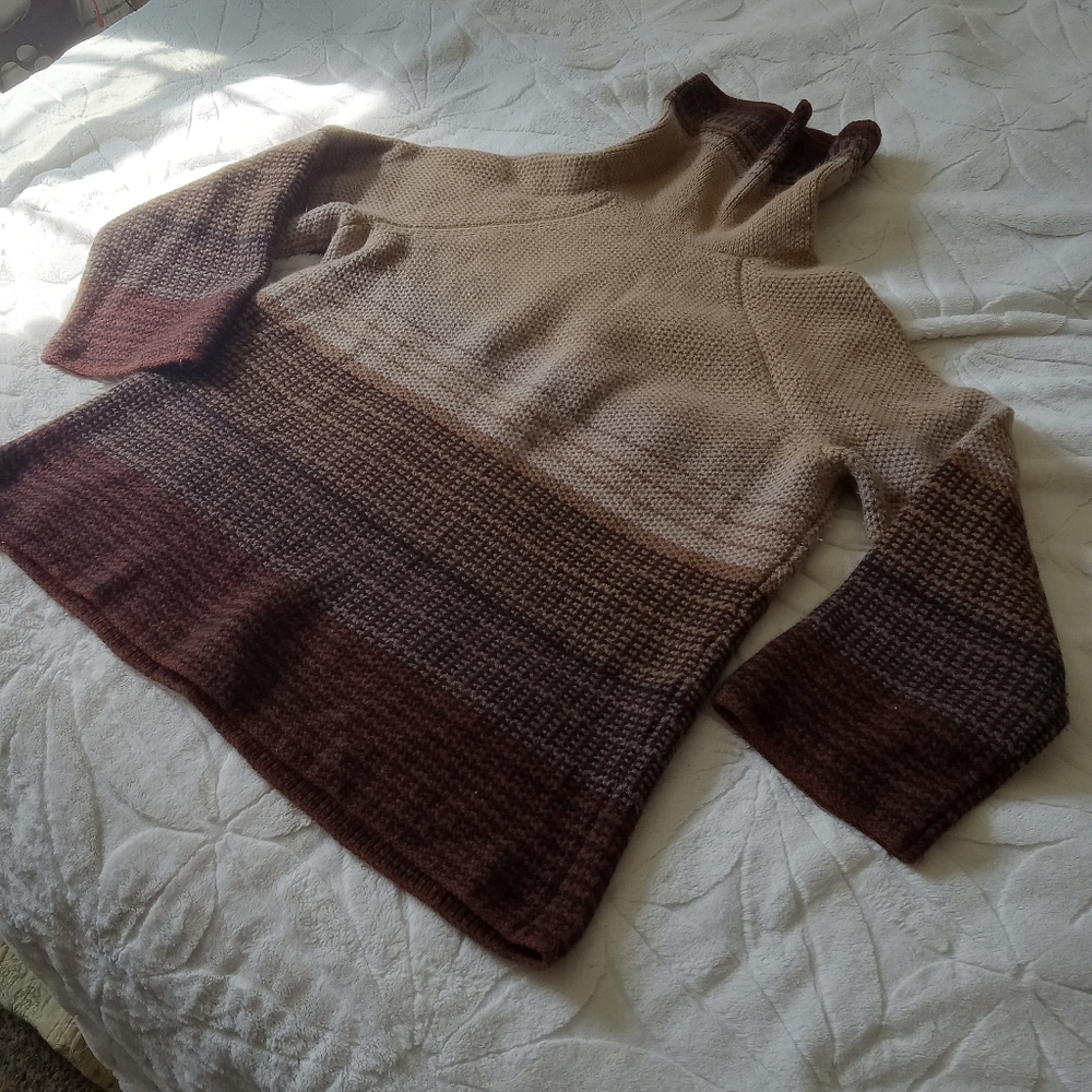 Alexandra Bartlett Women's Gradient Brown Sweater